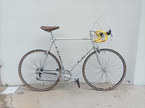 Alan prima serie - serie, campagnolo
